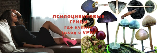 mdpv Михайловск