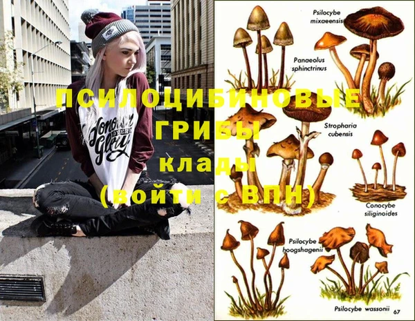 дмт Навашино