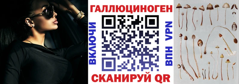 Галлюциногенные грибы Psilocybine cubensis  Новохопёрск 